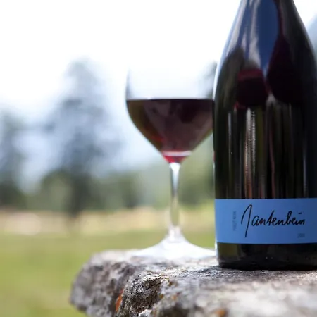 施皮纳斯宾馆 2* 贝弗