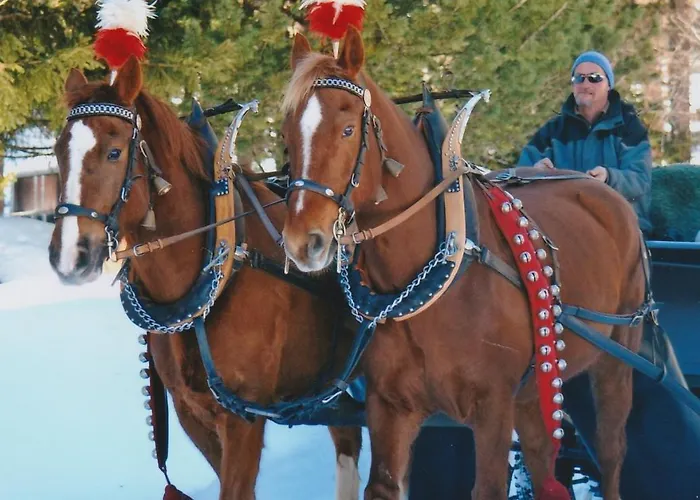 Han/Misafirhane Spinas