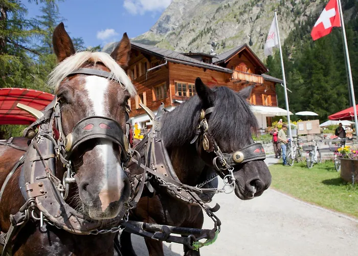 Мини-отель Spinas